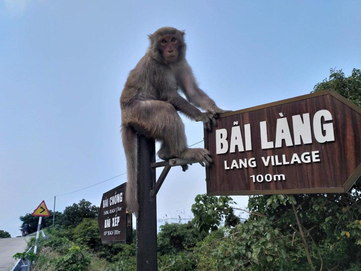 Monkeyland Cham Island Homestay Tân Hiệ 외부 사진